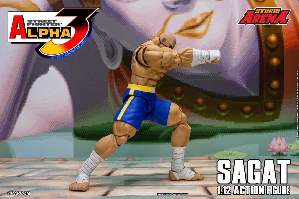 Street Fighter Zero 3 Storm Arena Sagat 1/12 Scale Action Figure (Asia Packaging)