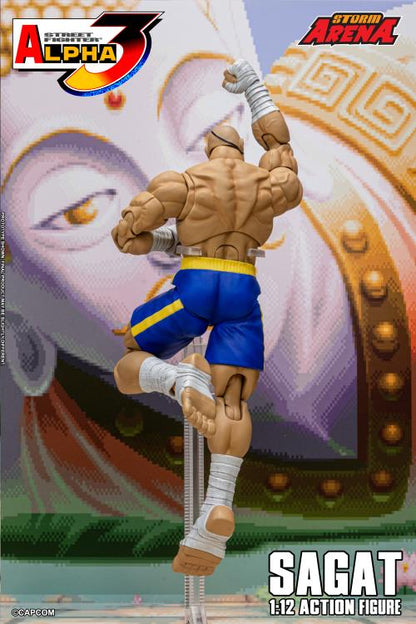Street Fighter Zero 3 Storm Arena Sagat 1/12 Scale Action Figure (Asia Packaging)