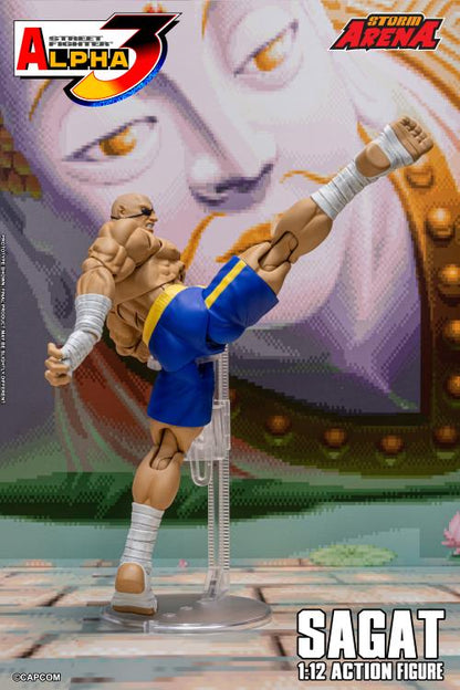 Street Fighter Zero 3 Storm Arena Sagat 1/12 Scale Action Figure (Asia Packaging)
