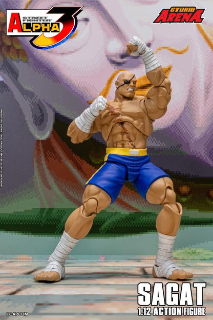 Street Fighter Zero 3 Storm Arena Sagat 1/12 Scale Action Figure (Asia Packaging)