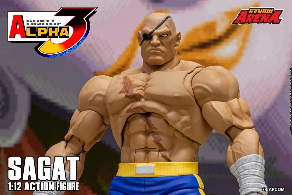 Street Fighter Zero 3 Storm Arena Sagat 1/12 Scale Action Figure (Asia Packaging)