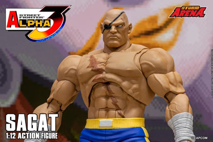 Street Fighter Zero 3 Storm Arena Sagat 1/12 Scale Action Figure (Asia Packaging)