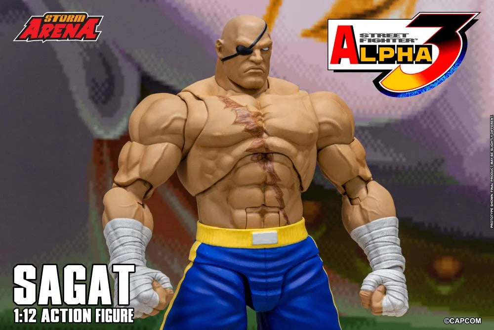 Street Fighter Zero 3 Storm Arena Sagat 1/12 Scale Action Figure (Asia Packaging)