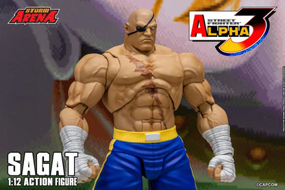 Street Fighter Zero 3 Storm Arena Sagat 1/12 Scale Action Figure (Asia Packaging)