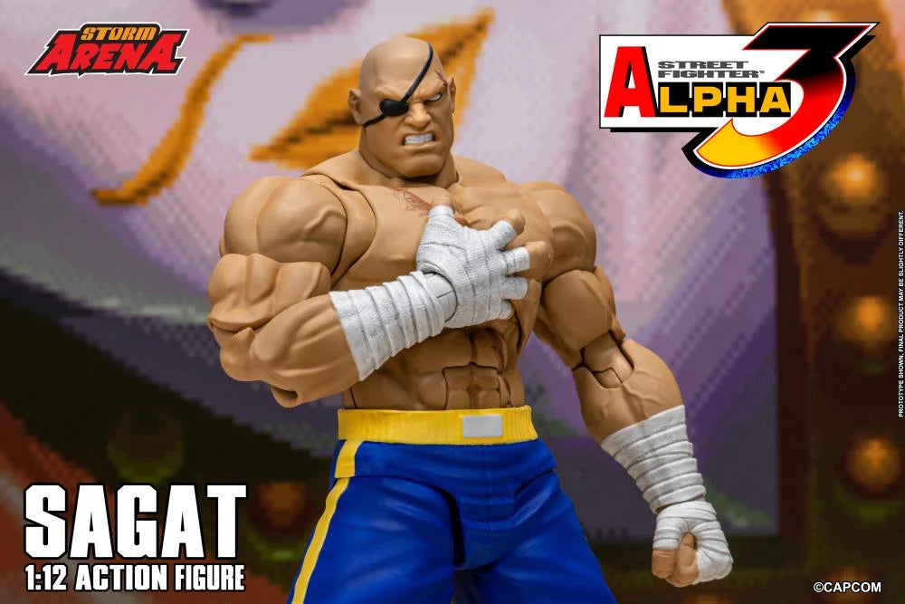 Street Fighter Zero 3 Storm Arena Sagat 1/12 Scale Action Figure (Asia Packaging)