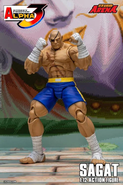 Street Fighter Zero 3 Storm Arena Sagat 1/12 Scale Action Figure (Asia Packaging)