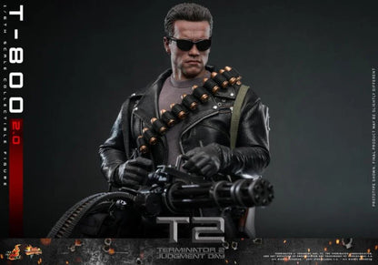 Terminator 2: Judgement Day MMS795 T-800 (2.0) 1/6th Scale Collectible Figure