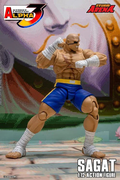 Street Fighter Zero 3 Storm Arena Sagat 1/12 Scale Action Figure (Asia Packaging)