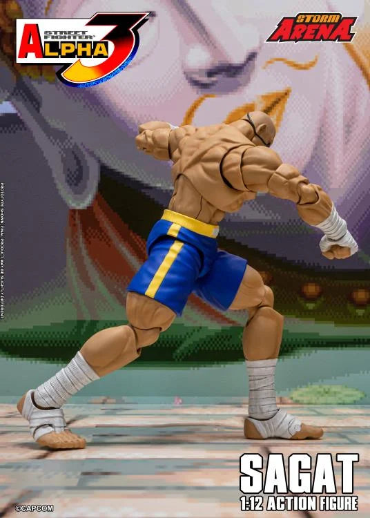 Street Fighter Zero 3 Storm Arena Sagat 1/12 Scale Action Figure (Asia Packaging)