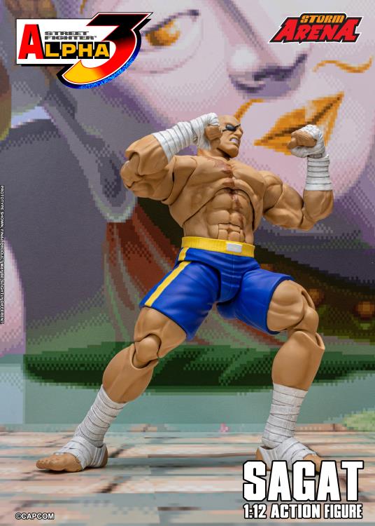 Street Fighter Zero 3 Storm Arena Sagat 1/12 Scale Action Figure (Asia Packaging)
