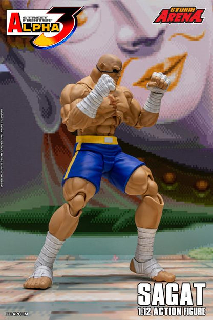 Street Fighter Zero 3 Storm Arena Sagat 1/12 Scale Action Figure (Asia Packaging)