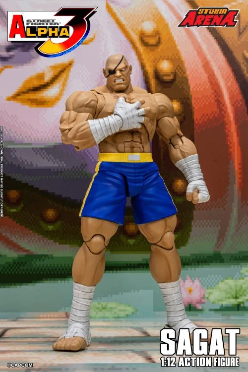 Street Fighter Zero 3 Storm Arena Sagat 1/12 Scale Action Figure (Asia Packaging)