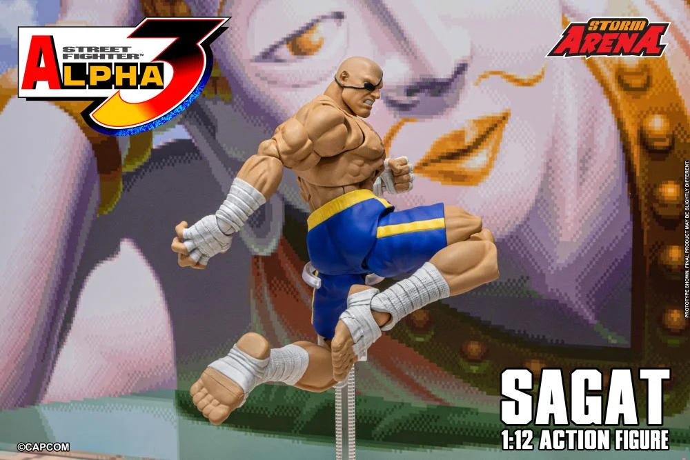 Street Fighter Zero 3 Storm Arena Sagat 1/12 Scale Action Figure (Asia Packaging)