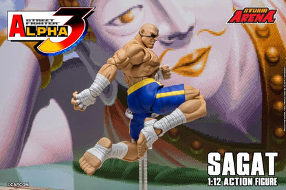 Street Fighter Zero 3 Storm Arena Sagat 1/12 Scale Action Figure (Asia Packaging)