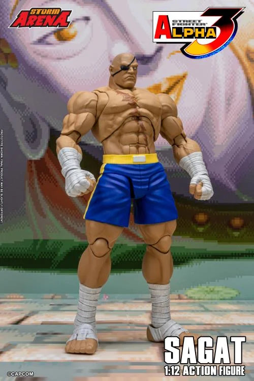 Street Fighter Zero 3 Storm Arena Sagat 1/12 Scale Action Figure (Asia Packaging)