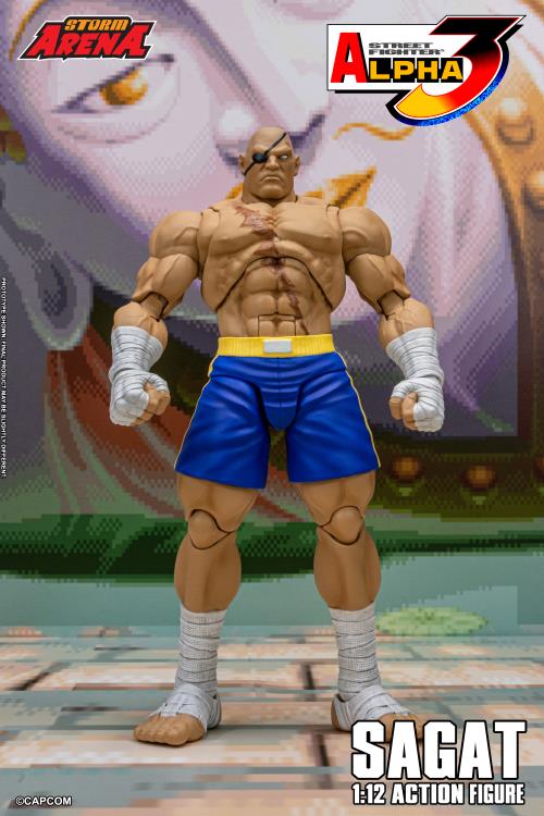 Street Fighter Zero 3 Storm Arena Sagat 1/12 Scale Action Figure (Asia Packaging)