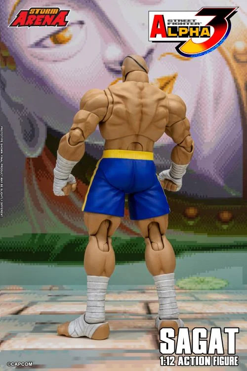 Street Fighter Zero 3 Storm Arena Sagat 1/12 Scale Action Figure (Asia Packaging)