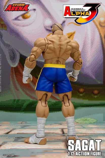 Street Fighter Zero 3 Storm Arena Sagat 1/12 Scale Action Figure (Asia Packaging)