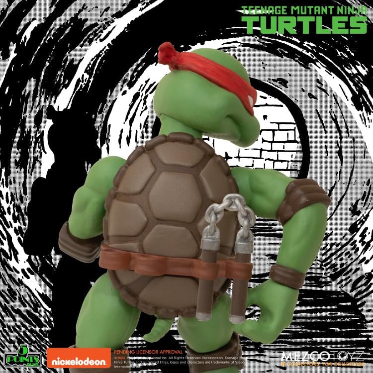 Teenage Mutant Ninja Turtles 5 Points Plus Boxed Set