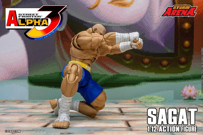 Street Fighter Zero 3 Storm Arena Sagat 1/12 Scale Action Figure (Asia Packaging)