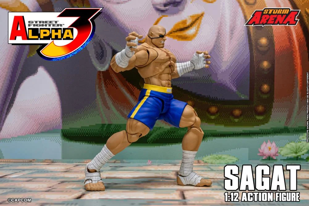 Street Fighter Zero 3 Storm Arena Sagat 1/12 Scale Action Figure (Asia Packaging)