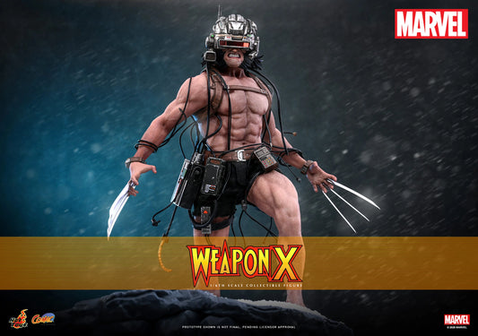 Pre-Order - Marvel Comics Weapon X CMS034 1/6th Scale Collectible Figure