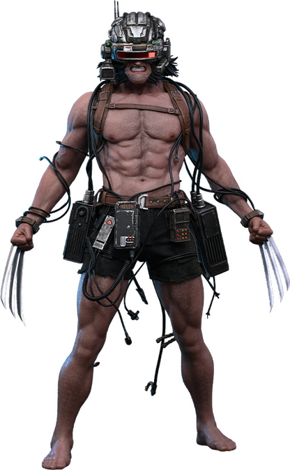 Pre-Order - Marvel Comics Weapon X CMS034 1/6th Scale Collectible Figure