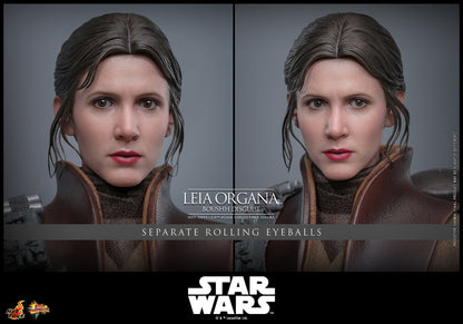 Pre-Order: Star Wars: Return of the Jedi MMS854 Leia Organa (Boushh Disguise) 1/6th Scale Collectible Figure