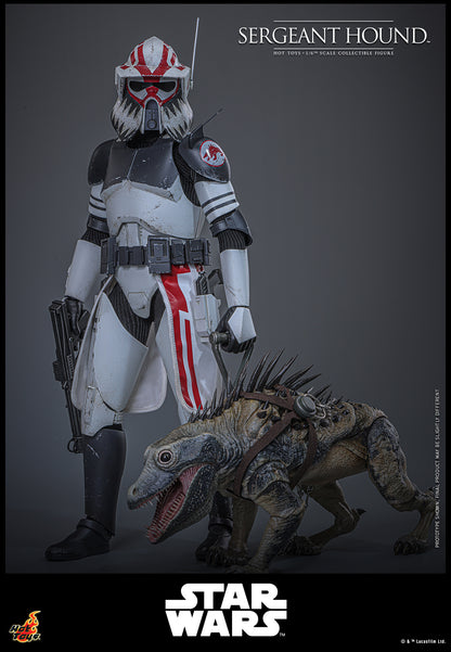 Pre-Order - Star Wars: The Clone Wars TMS000 Sergeant Hound 1/6th Scale Collectible Figure