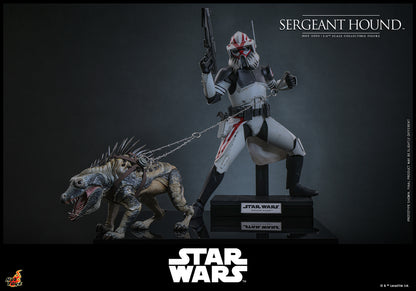 Pre-Order - Star Wars: The Clone Wars TMS000 Sergeant Hound 1/6th Scale Collectible Figure