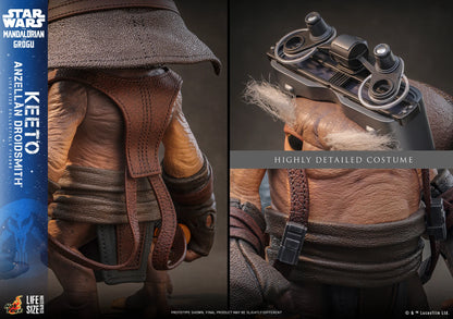 Pre-Order: Star Wars: The Mandalorian and Grogu LMS018 Keeto (Anzellan Droidsmith) Life-Size Collectible Figure